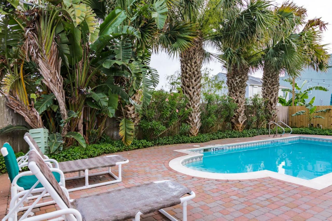 Campeche Cove #1 Otel South Padre Island Dış mekan fotoğraf